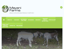 Tablet Screenshot of mayanifarms.com